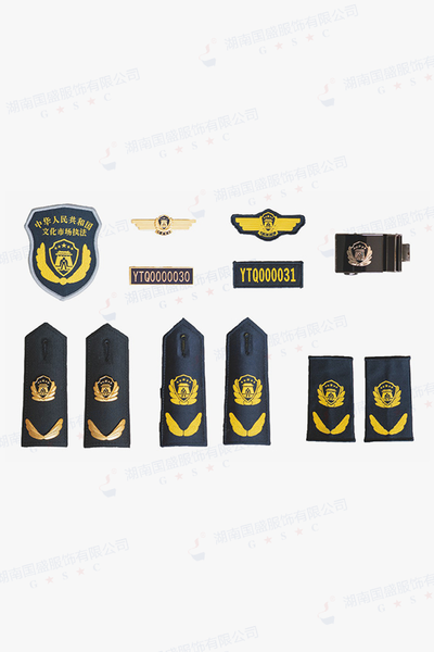 文化市场综合行政执法标志